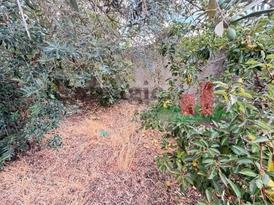 Moradia T3 para Venda em Gançaria Foto 6