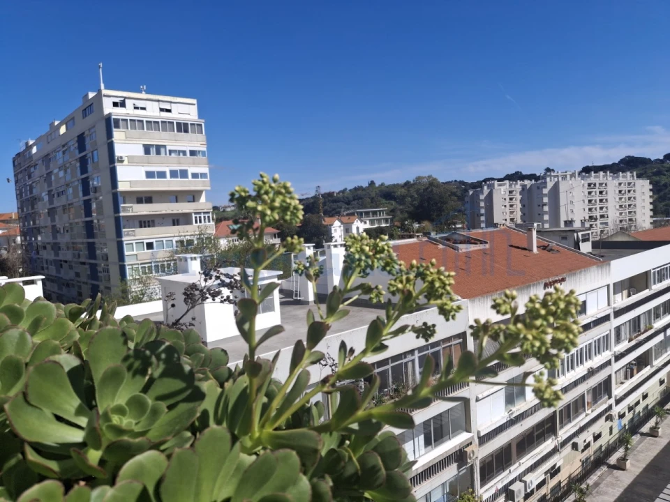 Apartamento T4 para Venda em Alvalade Foto 22