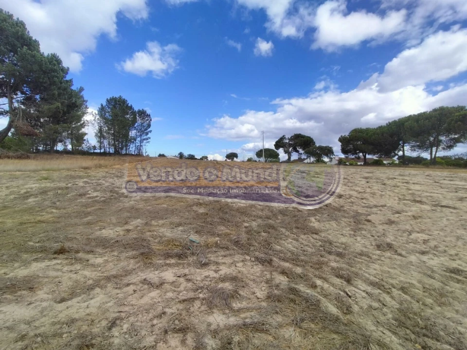 Terreno para Venda em Biscainho Foto 10