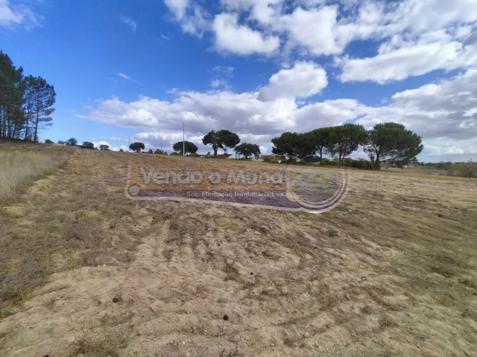 Terreno para Venda em Biscainho Foto 13