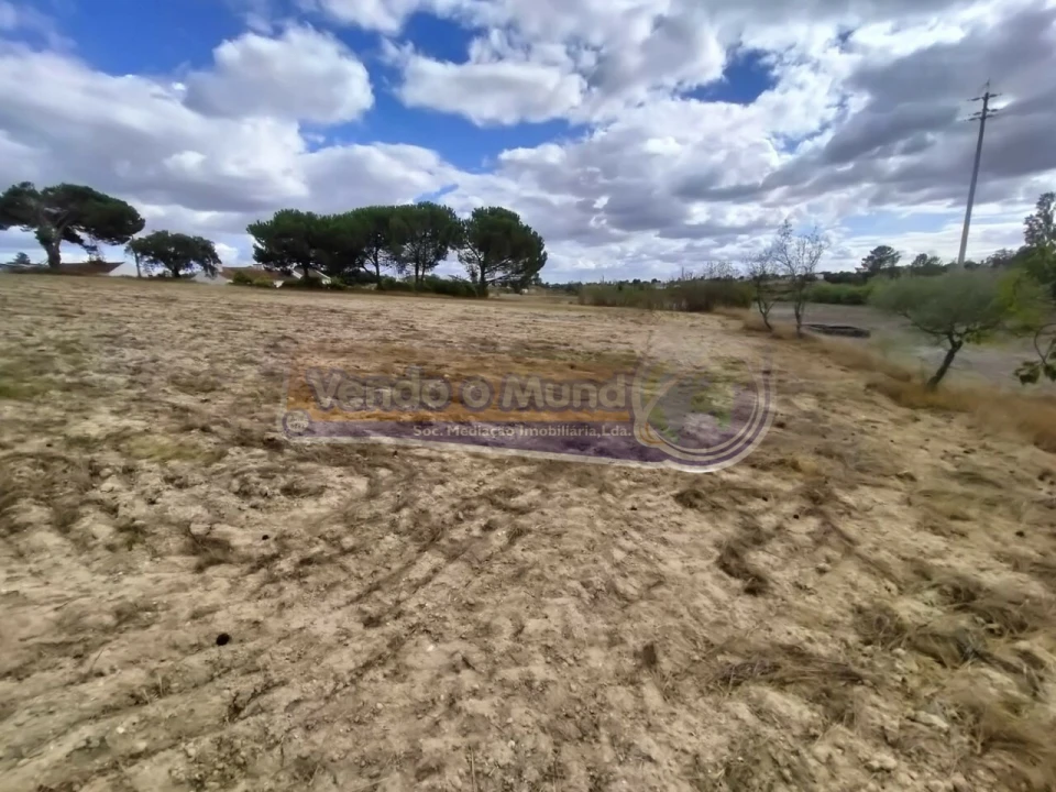 Terreno para Venda em Biscainho Foto 15