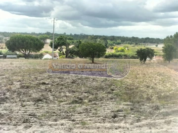 Terreno para Venda em Biscainho