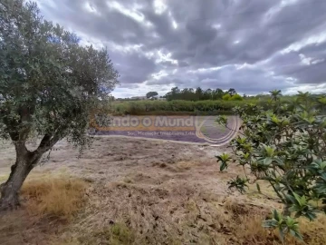 Terreno para Venda em Biscainho