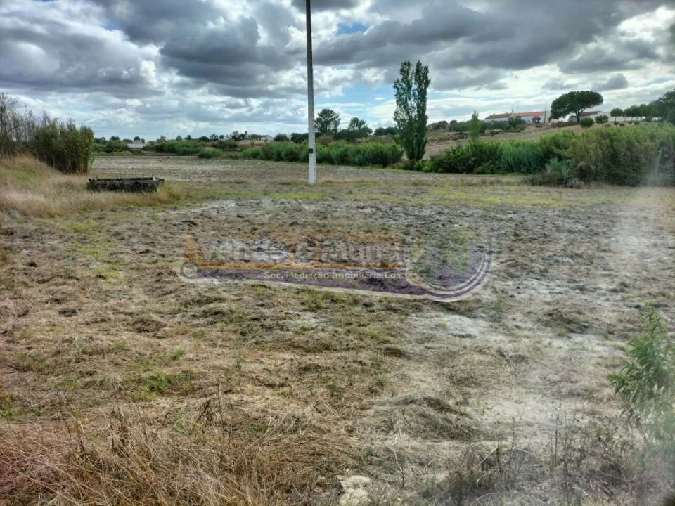 Terreno para Venda em Biscainho Foto 8