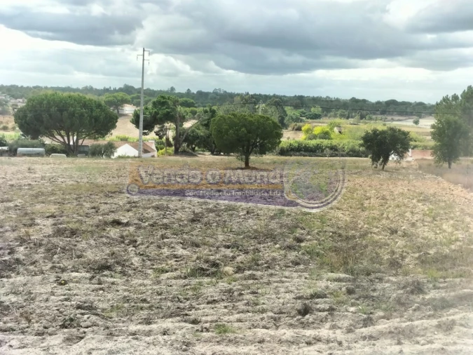 Terreno para Venda em Biscainho Foto 3