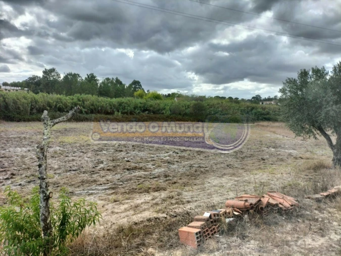 Terreno para Venda em Biscainho Foto 6