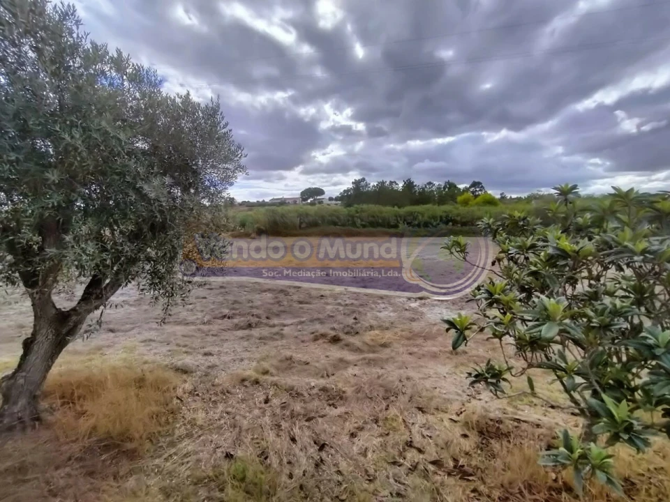 Terreno para Venda em Biscainho Foto 5