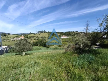 Terreno para Venda em Santa Clara e Castelo Viegas