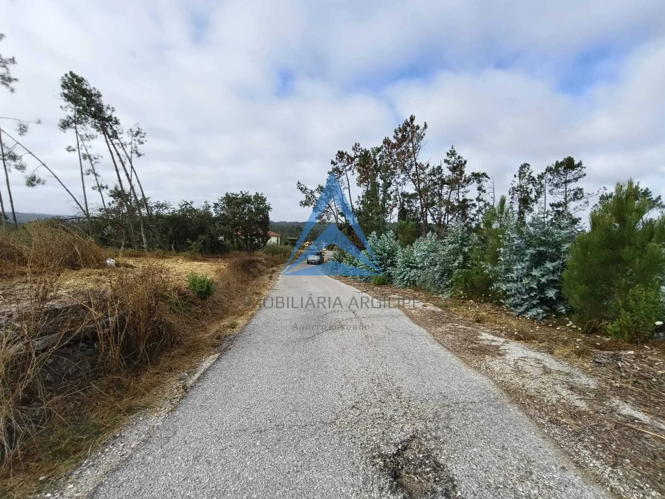 Terreno para Venda em Guia, Ilha e Mata Mourisca Foto 7