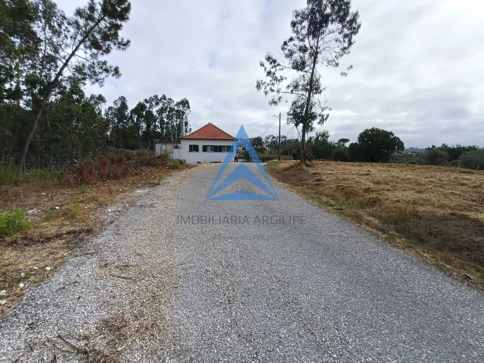 Terreno para Venda em Guia, Ilha e Mata Mourisca Foto 8