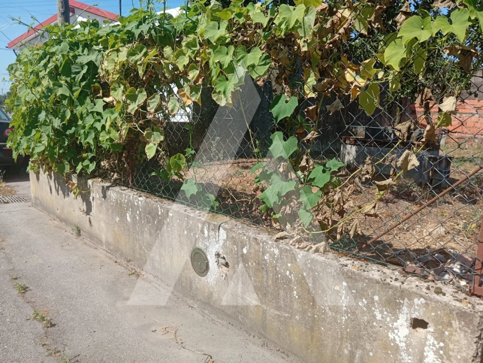 Terreno para Venda em Bustos, Troviscal e Mamarrosa Foto 2