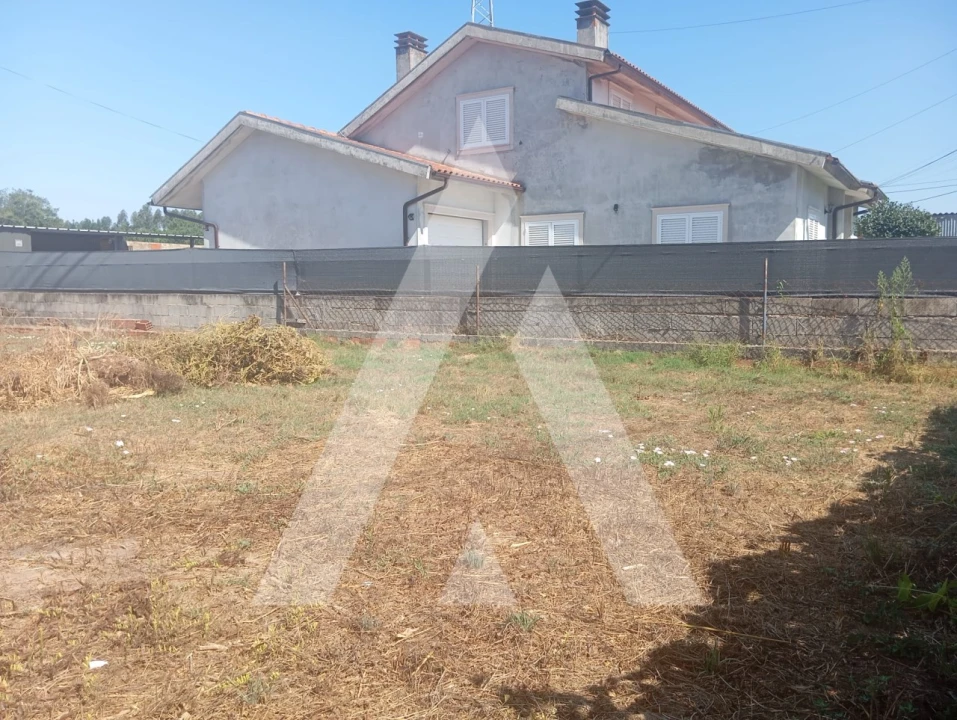 Terreno para Venda em Bustos, Troviscal e Mamarrosa Foto 5