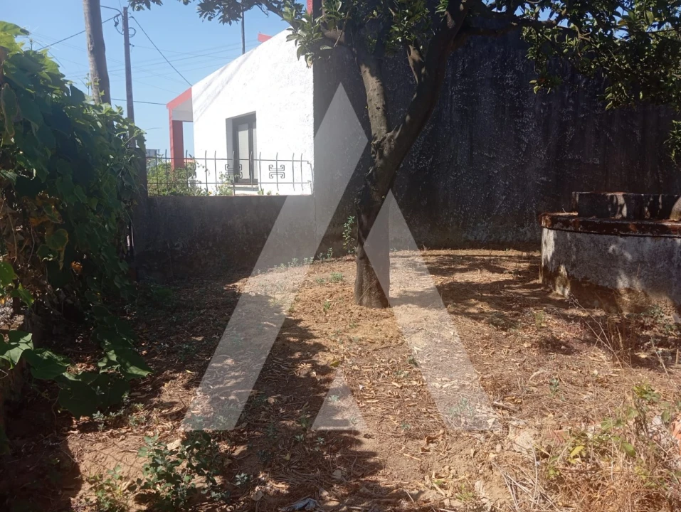 Terreno para Venda em Bustos, Troviscal e Mamarrosa Foto 6