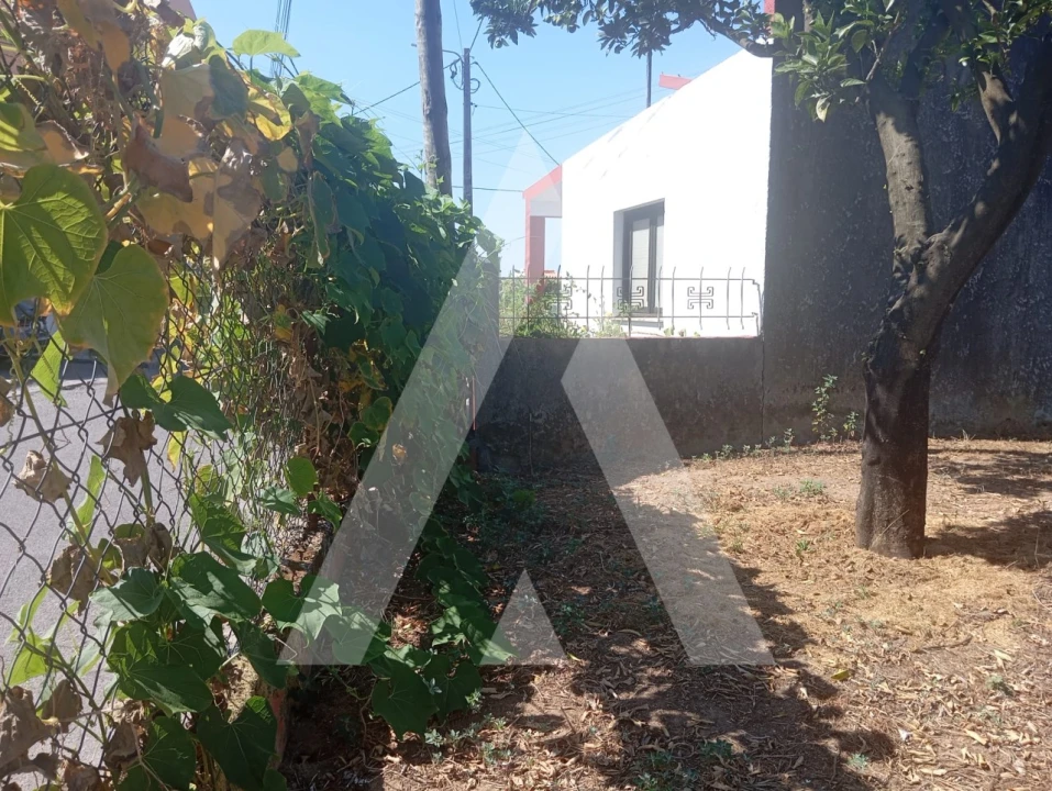 Terreno para Venda em Bustos, Troviscal e Mamarrosa Foto 7
