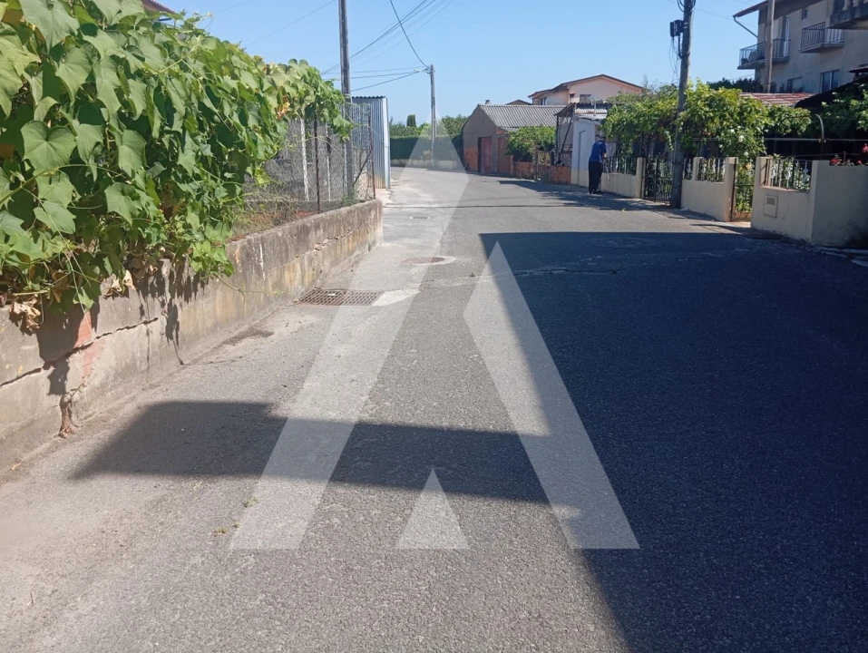 Terreno para Venda em Bustos, Troviscal e Mamarrosa Foto 8