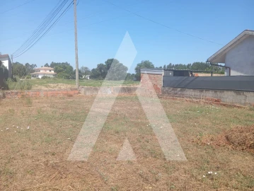 Terreno para Venda em Bustos, Troviscal e Mamarrosa