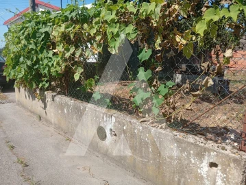 Terreno para Venda em Bustos, Troviscal e Mamarrosa