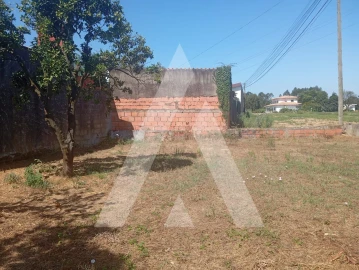 Terreno para Venda em Bustos, Troviscal e Mamarrosa