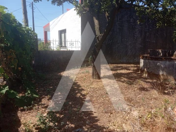 Terreno para Venda em Bustos, Troviscal e Mamarrosa