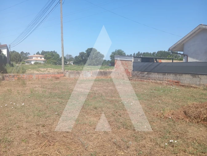 Terreno para Venda em Bustos, Troviscal e Mamarrosa Foto 3