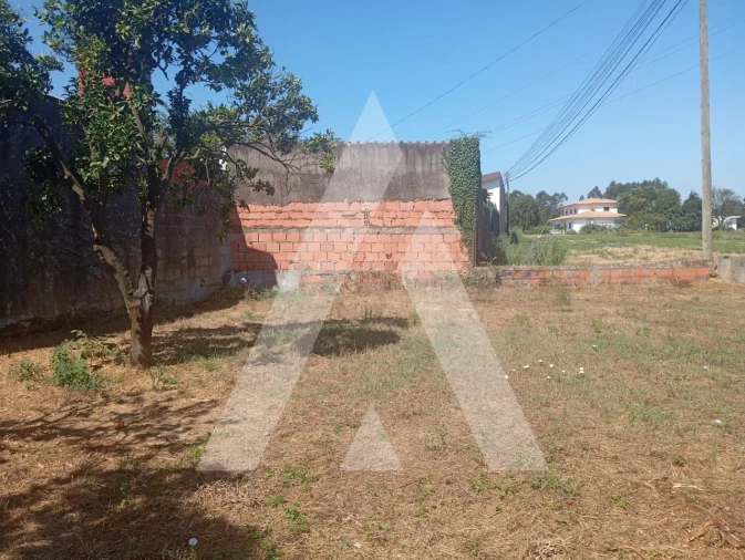 Terreno para Venda em Bustos, Troviscal e Mamarrosa Foto 4