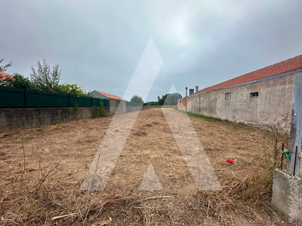 Terreno para Venda em Covões e Camarneira Foto 3
