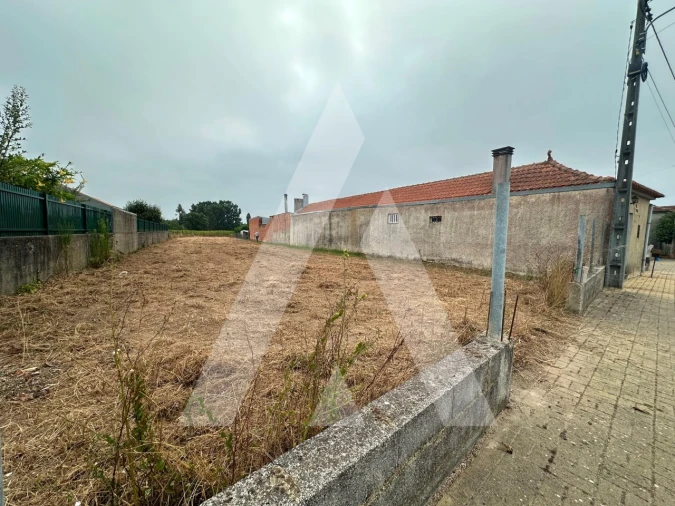 Terreno para Venda em Covões e Camarneira Foto 4