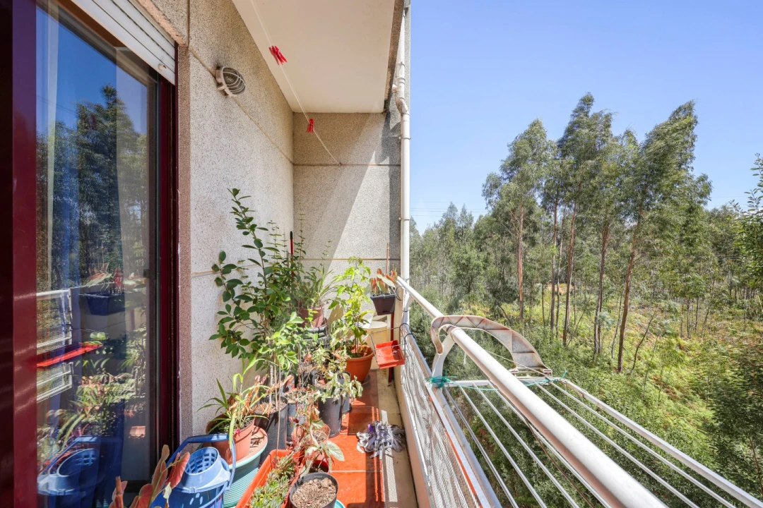 Apartamento T3 para Venda em Esgueira Foto 26