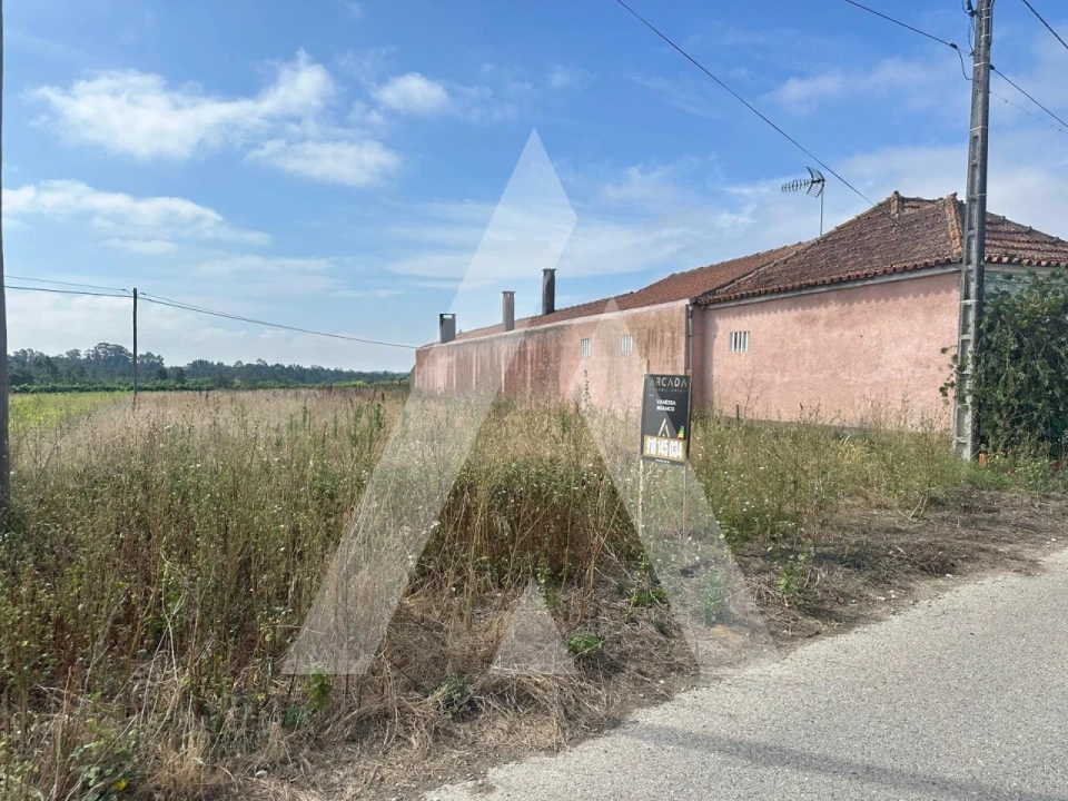 Terreno para Venda em Covões e Camarneira Foto 1