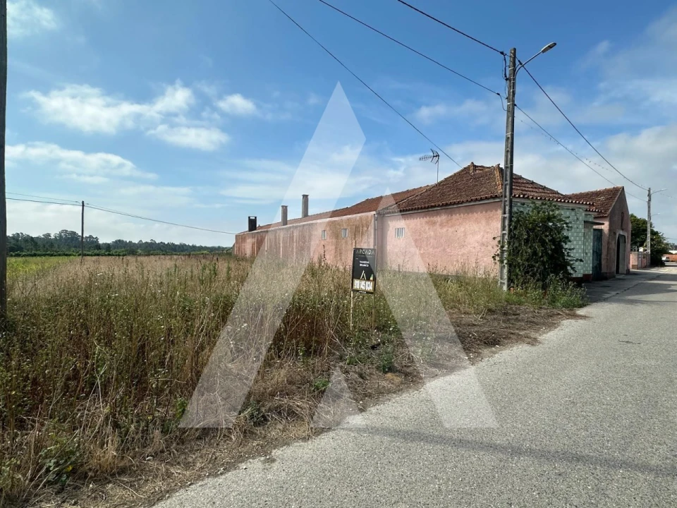 Terreno para Venda em Covões e Camarneira Foto 2