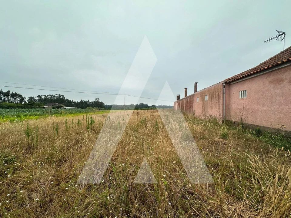 Terreno para Venda em Covões e Camarneira Foto 3
