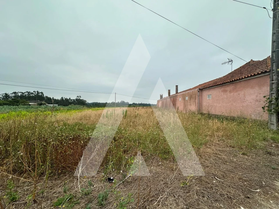 Terreno para Venda em Covões e Camarneira Foto 4