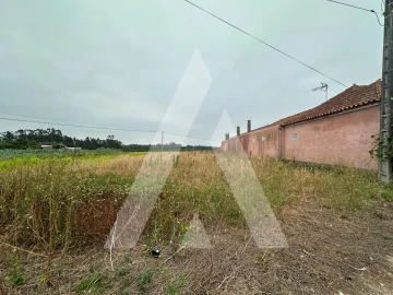 Terreno para Venda em Covões e Camarneira