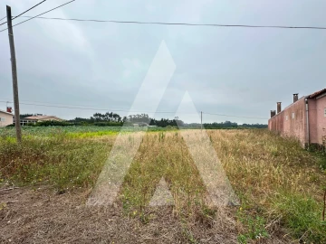 Terreno para Venda em Covões e Camarneira