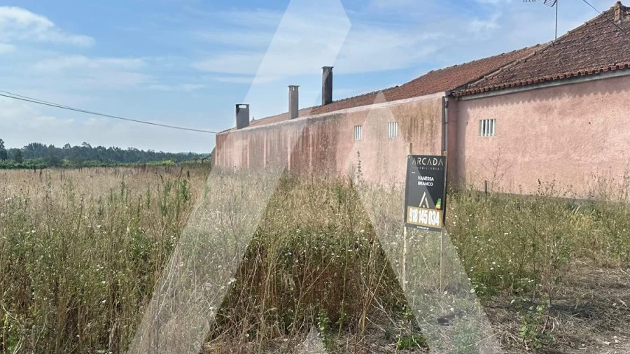 Terreno para Venda em Covões e Camarneira