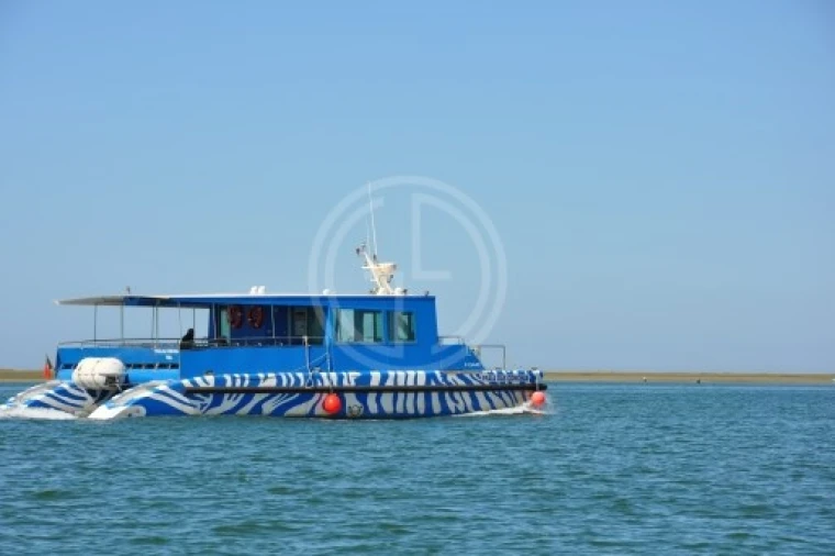 Moradia T3 para Venda em Conceição e Estoi Foto 21