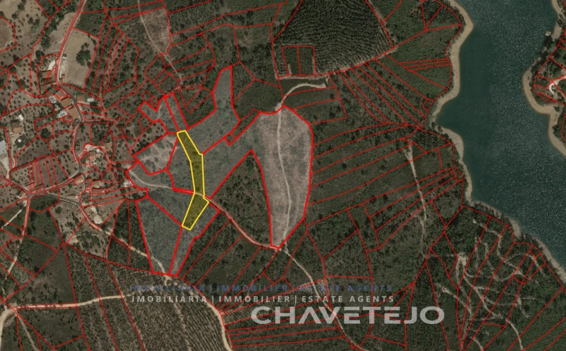 Terreno para Venda em Serra e Junceira Foto 2