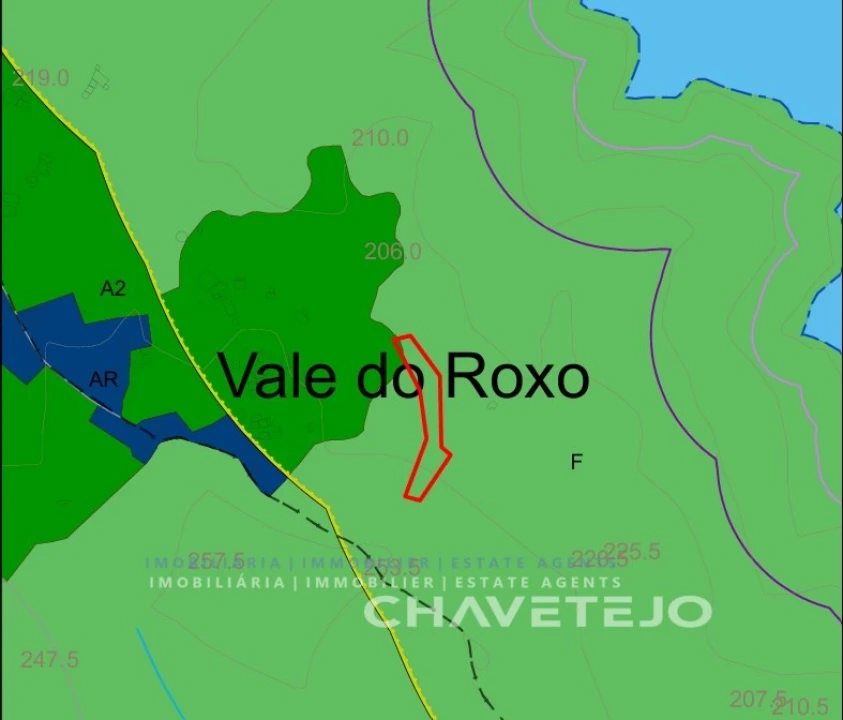 Terreno para Venda em Serra e Junceira Foto 3