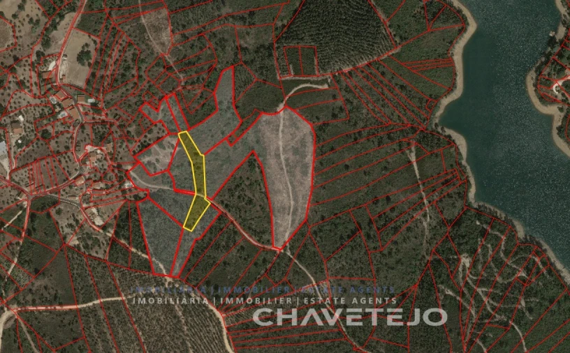 Terreno para Venda em Serra e Junceira Foto 2