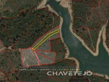 Terreno Agricola ou Rústico para Venda em Serra e Junceira