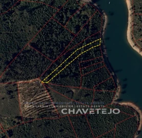 Terreno Agricola ou Rústico para Venda em Serra e Junceira