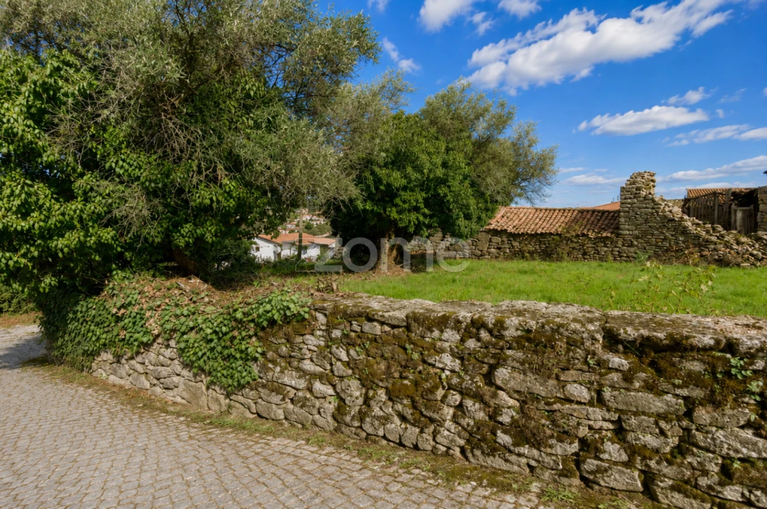 Terreno para Venda em Santa Valha Foto 4