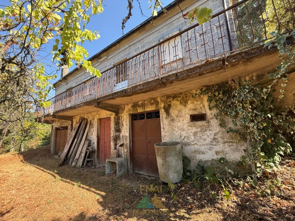 Quinta T3 para Venda em Touvedo (São Lourenço e Salvador) Foto 3