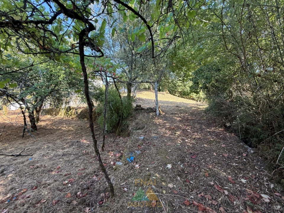 Quinta T3 para Venda em Touvedo (São Lourenço e Salvador) Foto 30