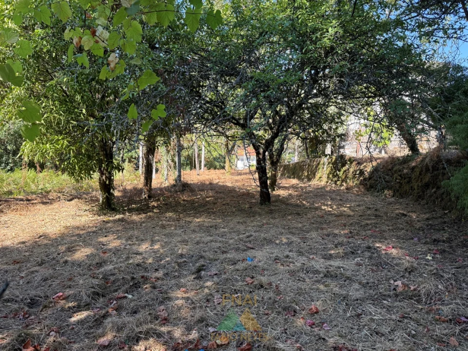 Quinta T3 para Venda em Touvedo (São Lourenço e Salvador) Foto 31