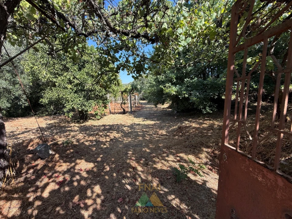 Quinta T3 para Venda em Touvedo (São Lourenço e Salvador) Foto 36