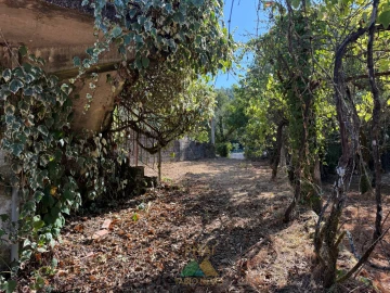 Quinta T3 para Venda em Touvedo (São Lourenço e Salvador)
