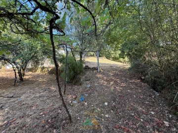 Quinta T3 para Venda em Touvedo (São Lourenço e Salvador)