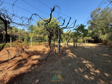Quinta T3 para Venda em Touvedo (São Lourenço e Salvador)