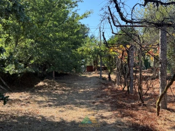 Quinta T3 para Venda em Touvedo (São Lourenço e Salvador)